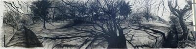 Fagus silvatica Field by Kevin Tole, Drawing, Beech Charcoal, various compressed charcoals, white, charcoal, white conte
