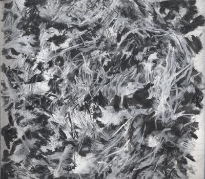 Grass and Leaves by Kevin Tole, Drawing, Beech Charcoal, Carbon pencil and white Conte