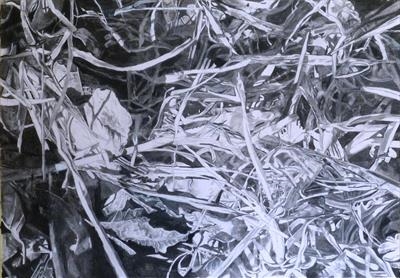 No. 27 by Kevin Tole, Drawing, Beech Charcoal, white charcoal, carbon stick and conte